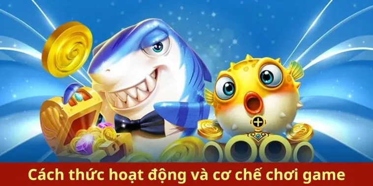 Hướng Dẫn Chơi Bắn Cá Royal Fishing VG99 Săn Boss Nhận Thưởng Lớn Ngay 1 Hướng Dẫn Chơi Bắn Cá Royal Fishing VG99 Săn Boss Nhận Thưởng Lớn Ngay
